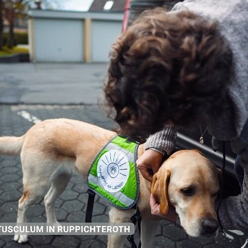 Layla bringt ein Lächeln🦮😊. Regelmäßige Hundetherapie mit Sally Pieck und Hündin Layla im Haus Tusculum👍🍀....