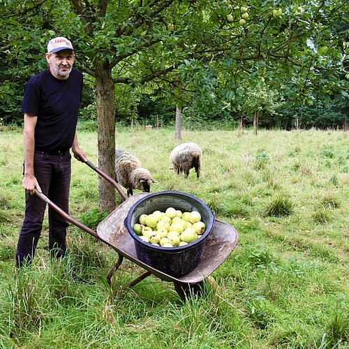 Hauseigener Apfelsaft 🍏. Wir hatten eine reichhaltige Ernte der Apfelbäume auf unserer Streuobstwiese. Neben Kompott und...